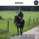 MAGNIFIQUE HONGRE AQPS NOIR - KOTCH - 4 ANS 