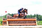 A VENDRE PONEY DE GP CCE