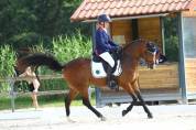 A VENDRE PONEY DE GP CCE