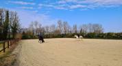 ÉCURIE 2 maneges, carrière, 30 boxes 4ha3