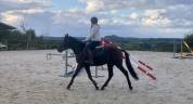 Poney de sport 4 ans 