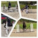 Poney de sport 4 ans 