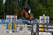 Jument 8 ans Amateur Elite et +