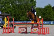 Jument 8 ans Amateur Elite et +