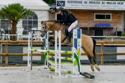 Ponette PFS de 7 ans à LOUER