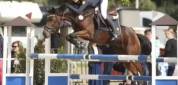 EXCELLENT PONEY DE SPORT 