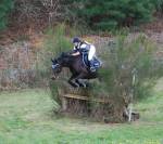 Cheval jument de sport selle français 