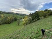 'Jardin' herbagé de 22 ha