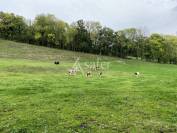 'Jardin' herbagé de 22 ha