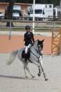 Poney de sport 