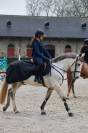 Poney de sport 