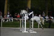 PONETTE DE SPORT CSO