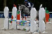 Poney de sport CSO/Hunter 