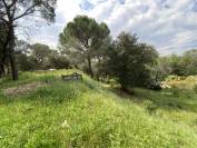 Maison à vendre Roquebrune-sur-Argens