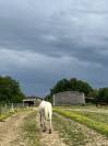 Pension Retraite chevaux