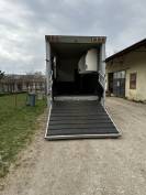 Camion 5places chevaux 12t