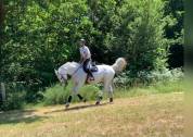 UZERCHE'JAC (SF) Cassini II/ Caprice d'elle 16 ans