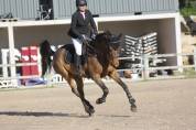 Cheval de sport 11 ans Amateur 1 / Amateur Elite / Pro