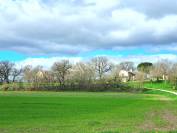 A reprendre en Quercy caussadais, rare et beau Domaine agricole