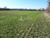 Exploitation d'élevage sur 32ha avec irrigation en Périgord ve