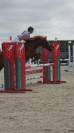 Top pour le circuit poney 