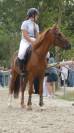 Top pour le circuit poney 