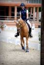 MAGNIFIQUE PONETTE DE DRESSAGE