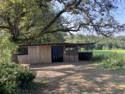 Rare Propriété Equestre sur Albi avec 2 gîtes