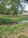 Maison bourgeoise 6 hectares avec son canal privé 