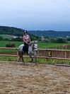 PURE RACE ESPAGNOLE  - JUMENT DE 5 ANS - BELLES ALLURES