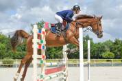 Jument de 5 ans top mental par Ogrion des champs