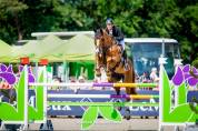 Cheval performant en CCI 4*