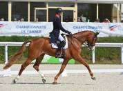 Cheval performant en CCI 4*