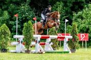 Cheval performant en CCI 4*