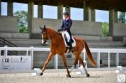 Cheval performant en CCI 4*