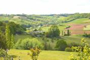 Entre Cahors et Montauban exploitation de caractère poly-éleva