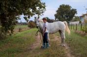 A vendre Ponette D Maitre d'école