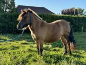 Ponette 2 ans