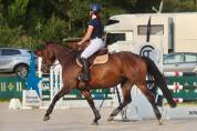 Top jument pour amateur / passage poney-cheval/DEJEPS