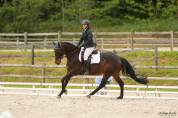 Top jument pour amateur / passage poney-cheval/DEJEPS