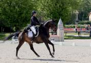 Superbe cheval gagnant en St Georges/ Inter I dressé GP