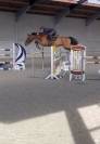 Cheval 13 ans amateur 