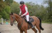 Cheval 13 ans amateur 