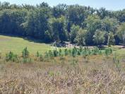 Maison et gîte sur 39ha avec étang en forêt de la Double