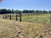 SECTEUR HARAS DU PIN - PROPRIÉTÉ ÉQUESTRE - 5 HA 