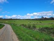 Ecurie de propiétaire / pension chevaux