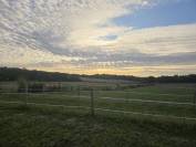 Ecurie de propi&eacute;taire / pension chevaux
