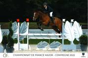 Cavalier Major vend son cheval