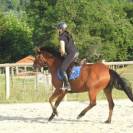 A VENDRE PONETTE DE SPORT 