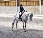 Poney 11ans